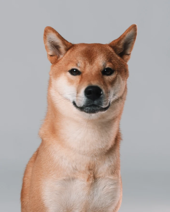 Portrait von Miyuko